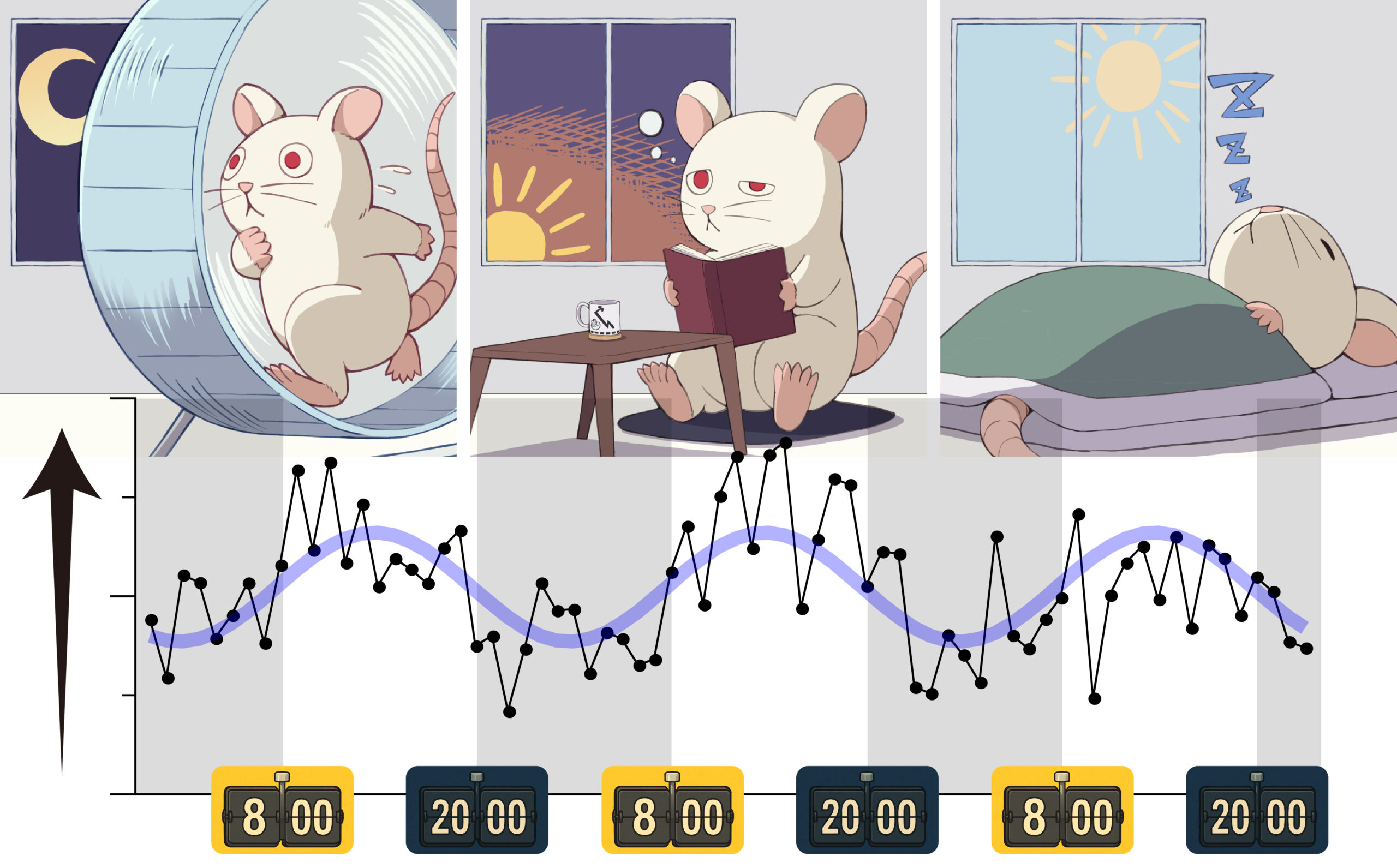 日周リズムを刻む時間脳機能の解明 －世界の受け止め方と記憶の相対性